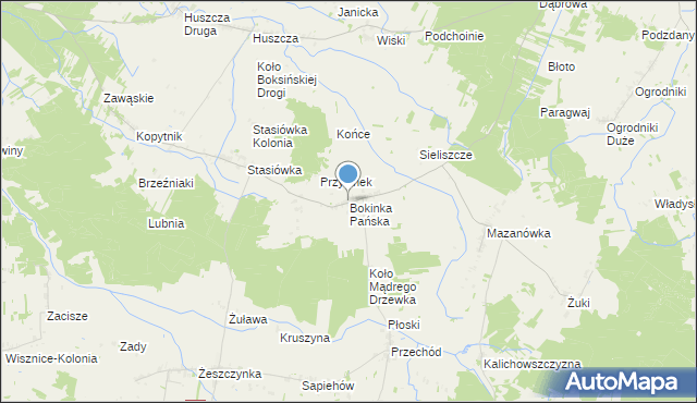 mapa Bokinka Pańska, Bokinka Pańska na mapie Targeo